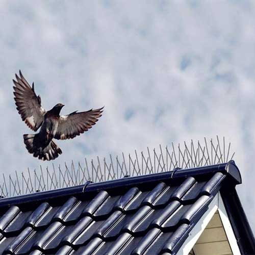 cioturi de calitate împotriva păsărilor